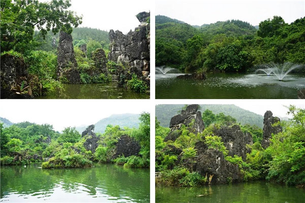 多彩貴州，魅力天下，2021年廣東博皓快樂貴州行-5