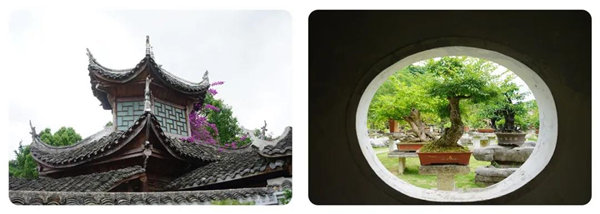 多彩貴州，魅力天下，2021年廣東博皓快樂貴州行-14