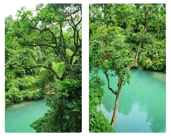 多彩貴州，魅力天下，2021年廣東博皓快樂貴州行-29