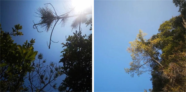 廣東博皓 博行天下丨虎年第一爬，挑戰從化老虎頭   -1