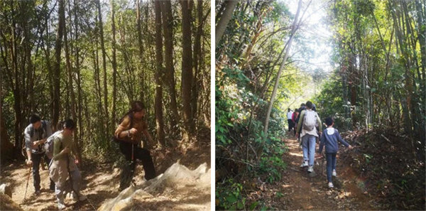 廣東博皓 博行天下丨虎年第一爬，挑戰從化老虎頭   -2