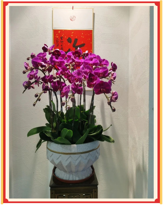 廣東博皓開工大吉丨金虎騰躍,兔來運(yùn)轉(zhuǎn) -23