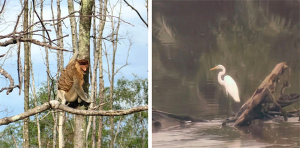 廿載風(fēng)云一路行,馬來風(fēng)情共見證——2024廣東博皓馬來西亞之旅 -13