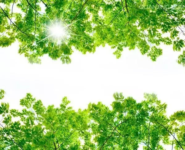 人生實(shí)苦,但請(qǐng)你足夠相信!